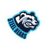 STEEL BEARS 🏒