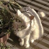 Художественный домик🎀🧸