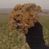 Woman's club | Секреты счастливых жен