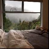 Live in dreams ☺️