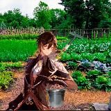 ♥️╟╟Огород Чжун Ли╢╢☺️│ВЕСТИ ГЕНШИНА│