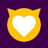 Новости ShineModel