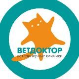 ВЕТДОКТОР ветеринарная клиника