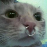 Лина Флеш нет блять Эльвира Редбул