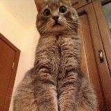 Юмор за 300😂