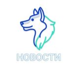 База Мудрого Seller-a на Ozon
