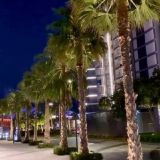 Lifegoalschat 🇺🇲