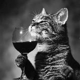 Комната без вины🖤