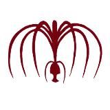 Аватар Джеймса Кэмерона