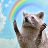 санта олень