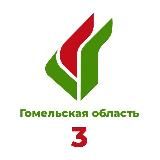 Гомель. Партия «Белая Русь»