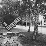 Активная Нежинка