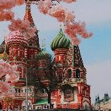 Сладкий слив 🔥