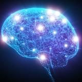 Collective Consciousness