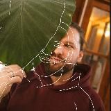 Заметки зеленолога 📝