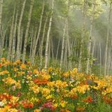 здравствуй, это я