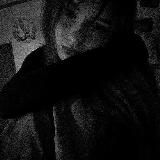 ㅤпаучья лилия.