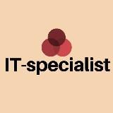 IT Specialist