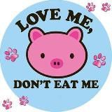 Kiss me I'm vegan в Сербии