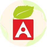 Развивающие игрушки Alatoys | Алатойс