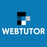 Websoft HCM developer