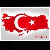 TÜRKÇE (УЧИМ ТУРЕЦКИЙ)