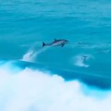 Новороссийск 24/7