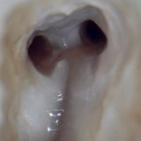 МыслиВслух