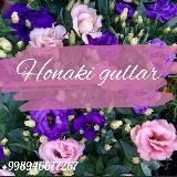 Комнатные цветы.Хонаки гуллар🍀🌺