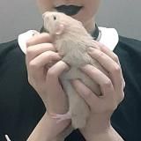 кислые щеки