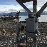 Новости Шпицбергена. Один песец сказал