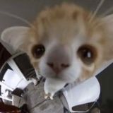 Фабрика Тролей