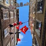 Среда обитания. Дневник странника