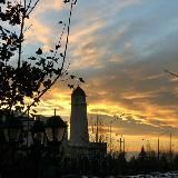 𝐓𝟏𝐞𝐡𝐚𝐫.𝐝𝐨𝐬𝐡