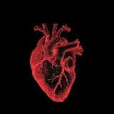 ком в горле.