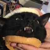 ExManga - бесплатные главы