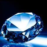 АКУЛЫ В СЕТИ 🦈