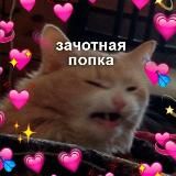 Лоли как смысл жизни🧚♀️