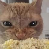 Кооператив "Озеро"