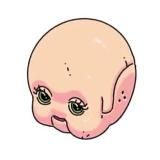 дельфин дружит с кукушкой