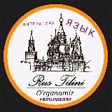 Русский язык | Литература