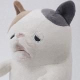 Птица Говорун