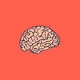 Смешные котики