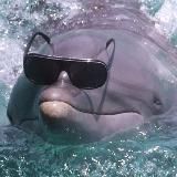 Mr. Muller l Официальный канал крупного кита в криптосфере