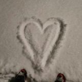 pretty kitty₄₈₈