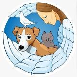 «Собачий ангел» г.Анапа Помощь бездомным животным.