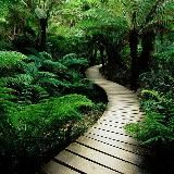 Экстрасенс Приворот Магия