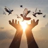 Природа | Афоризмы | Цитаты