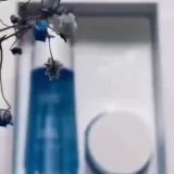 Клиентский чат Атоми 💙