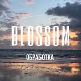 ФОТО | ОБРАБОТКА | ПРЕСЕТЫ 🍒 BLOSSOM